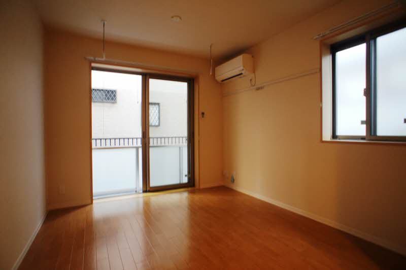 tortoiseshell幸 103号-6