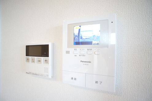 サイネリア 202号-10