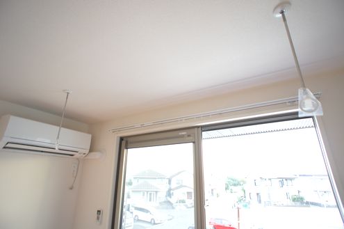 サイネリア 202号-11