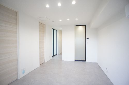 Ｓｈａｍａｉｓｏｎ　Ｅｂｉｎａ　Ⅱ 203号-3