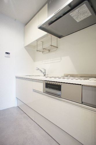 Ｓｈａｍａｉｓｏｎ　Ｅｂｉｎａ　Ⅱ 203号-8