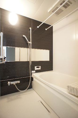 Ｓｈａｍａｉｓｏｎ　Ｅｂｉｎａ　Ⅱ 203号-9