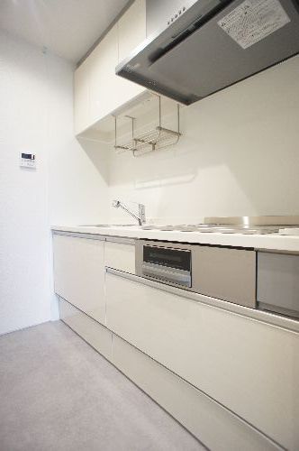 Ｓｈａｍａｉｓｏｎ　Ｅｂｉｎａ　Ⅱ 303号-8