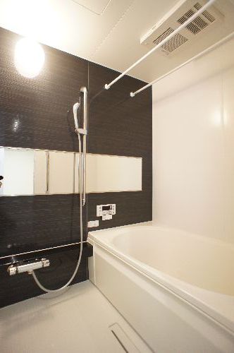 Ｓｈａｍａｉｓｏｎ　Ｅｂｉｎａ　Ⅱ 303号-9