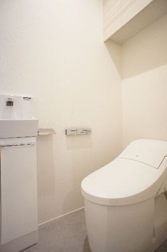 Ｓｈａｍａｉｓｏｎ　Ｅｂｉｎａ　Ⅱ 303号-11