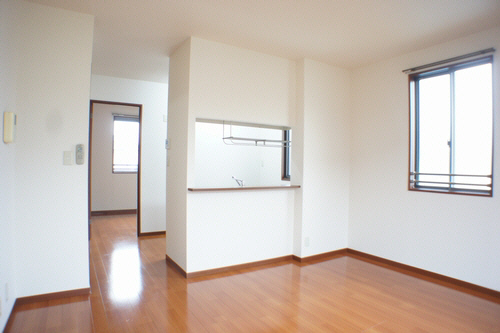 サザンクロス Ⅲ 201号-2