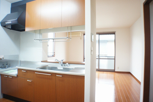 サザンクロス Ⅲ 201号-4