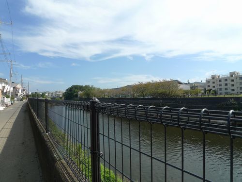 ハピネス　セド 101号-11