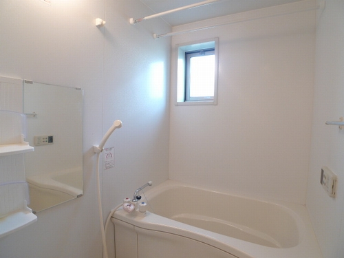 メゾン　ドゥ　フルール 102号-10