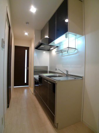 ラフェスタ湘南 302号-3