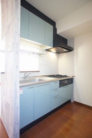 プレザントＭ　Ⅱ 105号-4