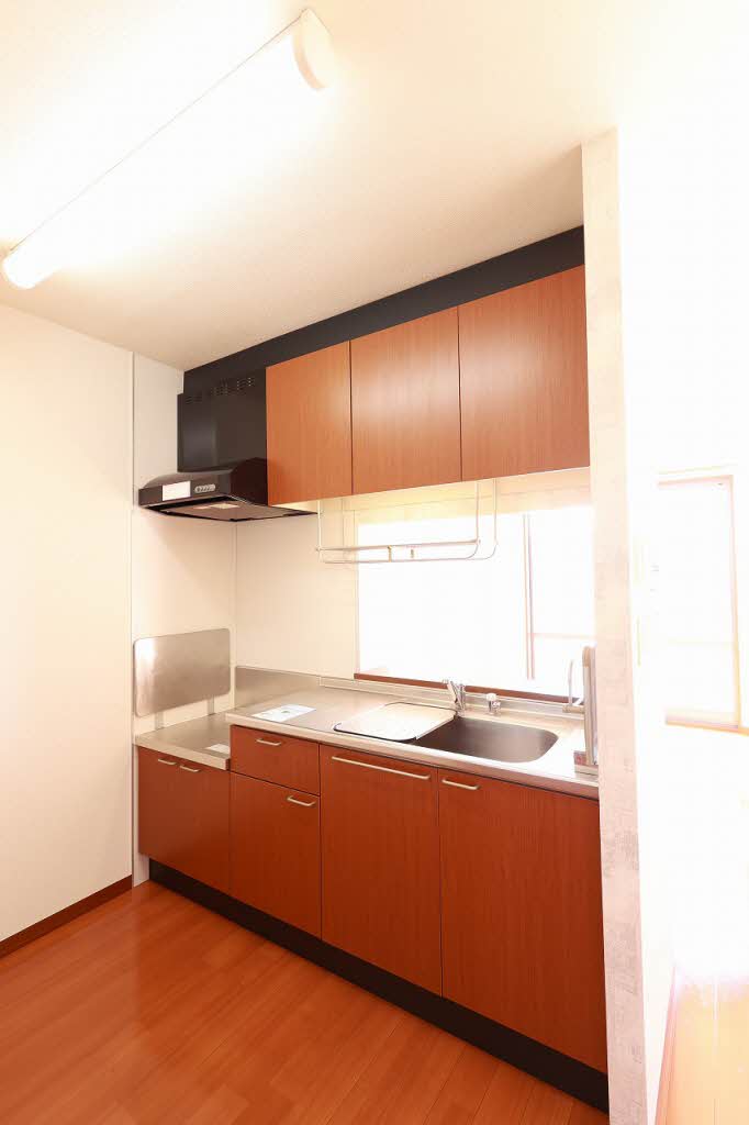 アムール 205号-5