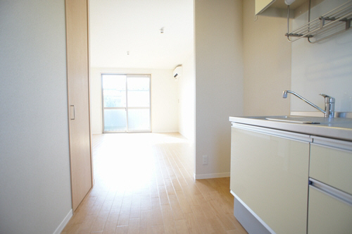 フェリセス　Ⅱ 202号-2