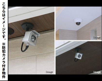 その他画像12