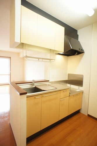 オレンヂコート 203号-6