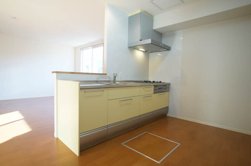 マーキュリーセント 101号-4