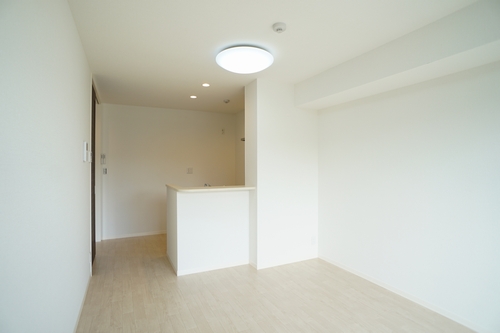 カーサ・アネーロ湘南 102号-3