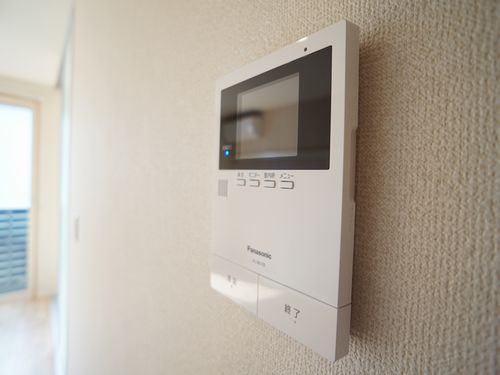 Ｃｒｙｐｔｏｍｅｒｉａ湘南 102号-10