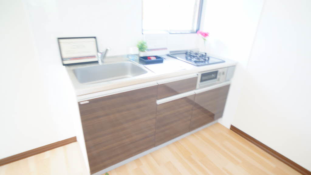 ペルテ高田 202号-8