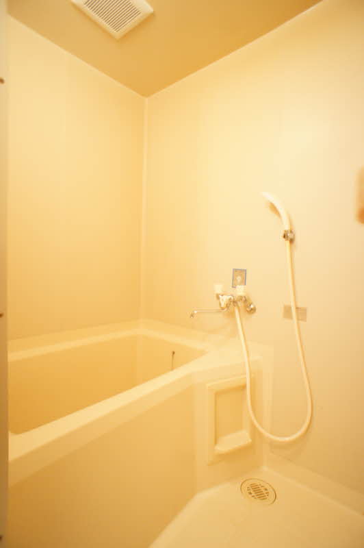 メゾンロワール 102号-11