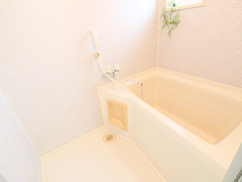 アネックススギ 202号-12