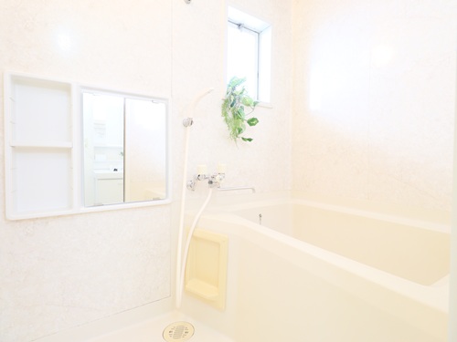 ハイムミツワ　Ｂ 101号-11