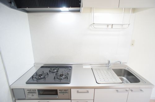 ローゼンハイム湘南 D 101号-7