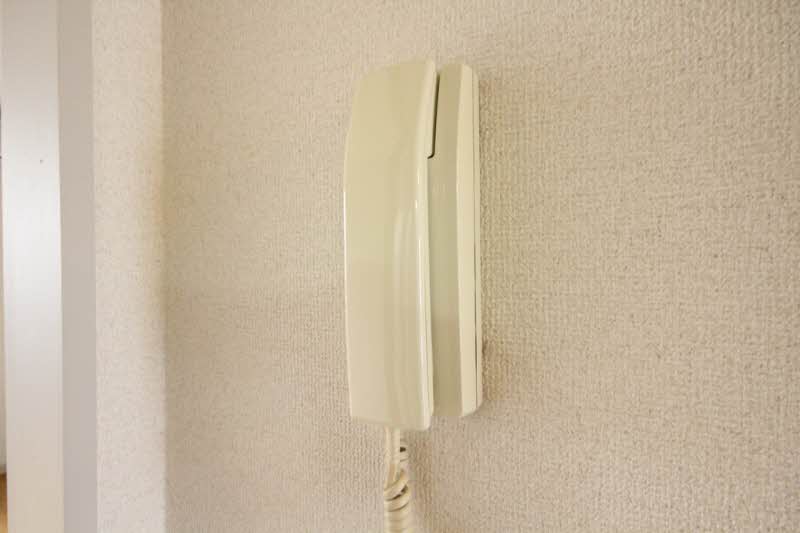 ティースⅡ 101号-8