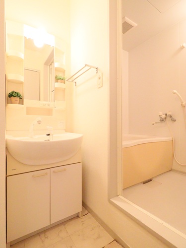 ヴューテラス　Ａ 202号-10