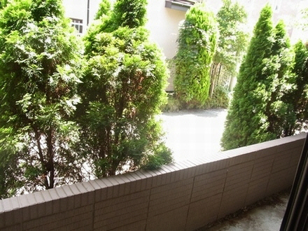 アルファタウン和泉町　Ｄ 101号-11