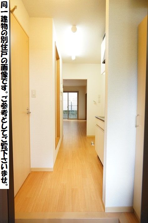 Ｒｅｄ　Ｓｕｎ 103号-10