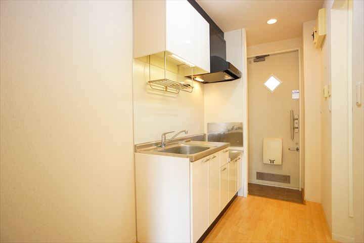 ライキ　エカヒ 101号-6