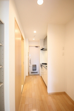 ヴィライグレック 201号-10