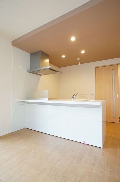 Ｃａｎｅ　Ｃｏｒｓｏ 102号-3