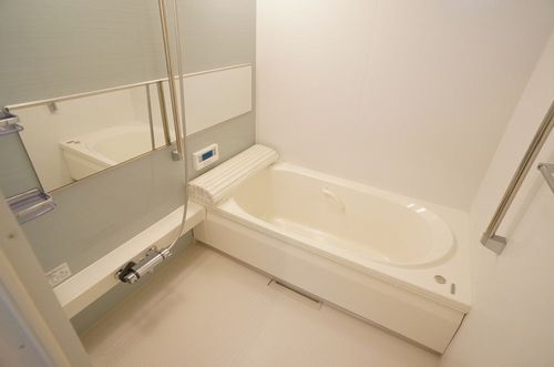 Ｃａｎｅ　Ｃｏｒｓｏ 102号-4