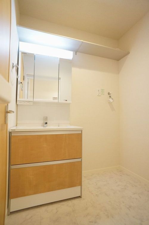 Ｃａｎｅ　Ｃｏｒｓｏ 102号-5