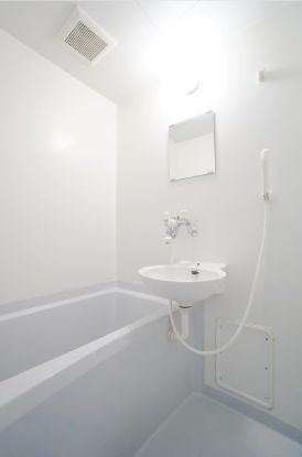 ロベリア 203号-11