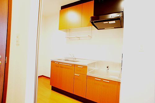 センターバレー 205号-9