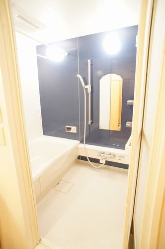 ベレオ藤進 203号-10