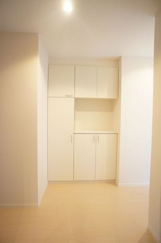 Ｐｌａｔｉｎｕｍ２１ 101号-10