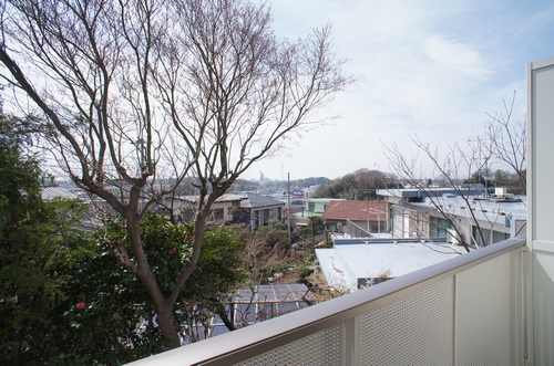 シャーメゾン梶山 201号-11