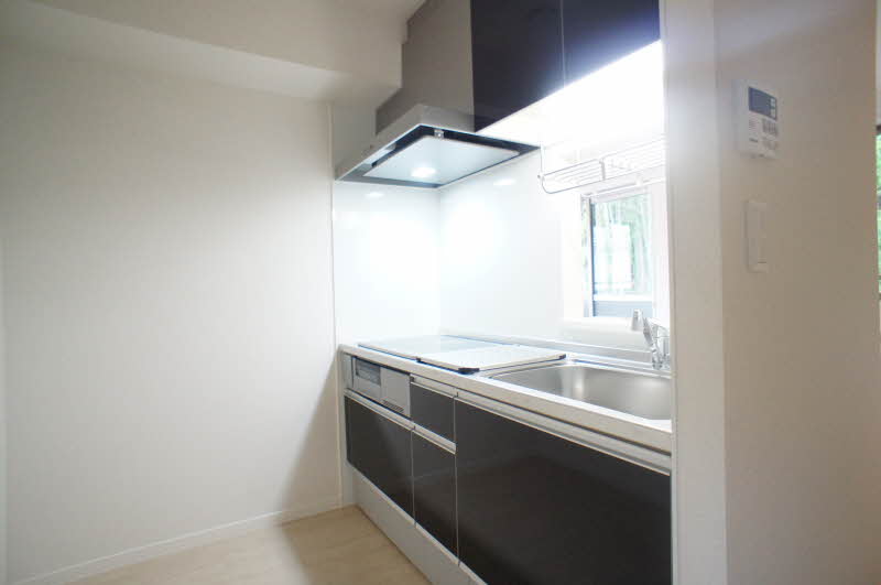 ヒルハウス大倉山東Ⅱ 205号-5