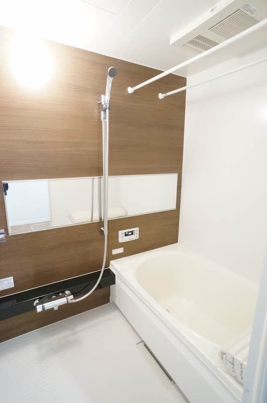 ＰＬＡＴＩＮＵＭ三ッ沢 101号-13