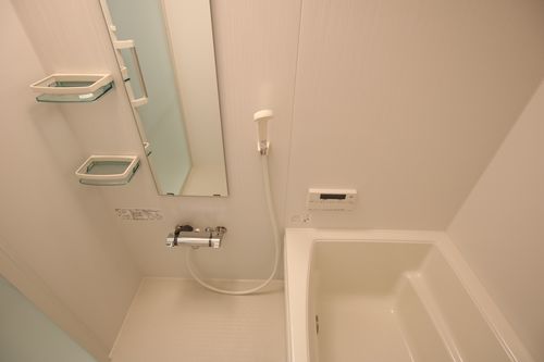 ミヤグルーリャ 201号-9