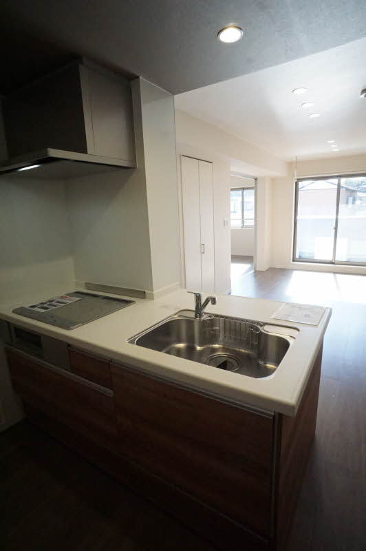 Ｅｘｃｅｌｅｎｔｅ　Ｋ 205号-8