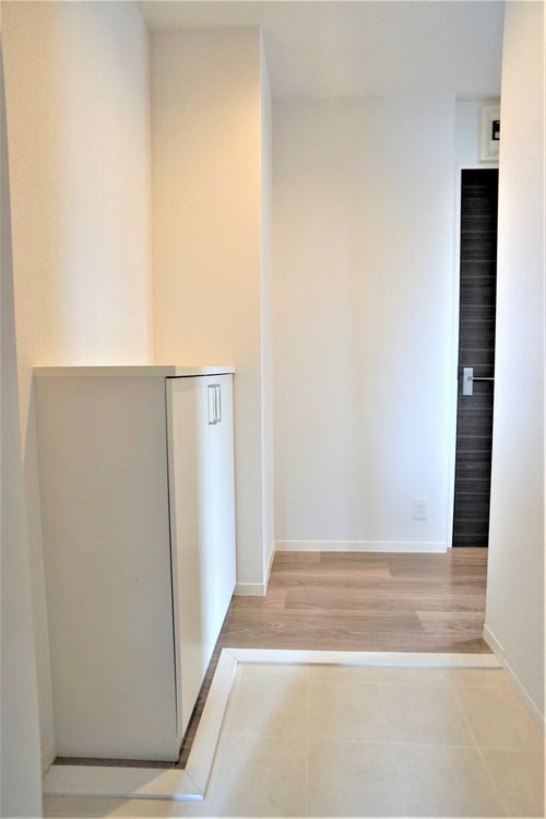 Ｃｏｃｏｎｅｅｌ　Ｈｉｒａｔｓｕｋａ 201号-2