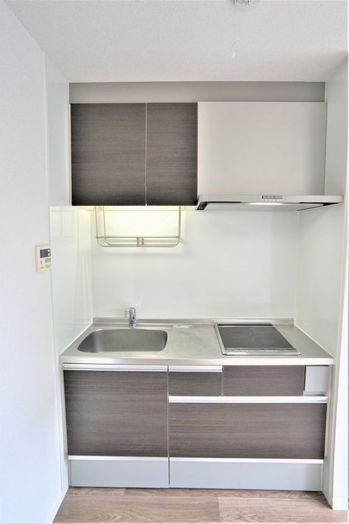 Ｃｏｃｏｎｅｅｌ　Ｈｉｒａｔｓｕｋａ 201号-7