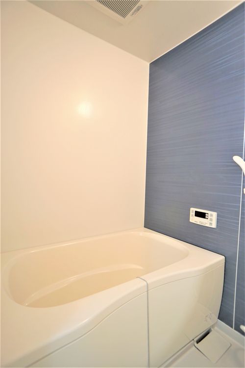 Ｃｏｃｏｎｅｅｌ　Ｈｉｒａｔｓｕｋａ 201号-8