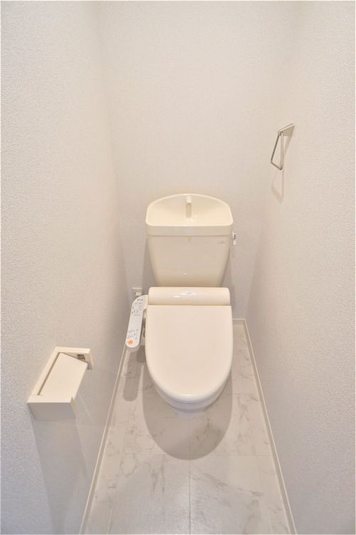 Ｃｏｃｏｎｅｅｌ　Ｈｉｒａｔｓｕｋａ 201号-11