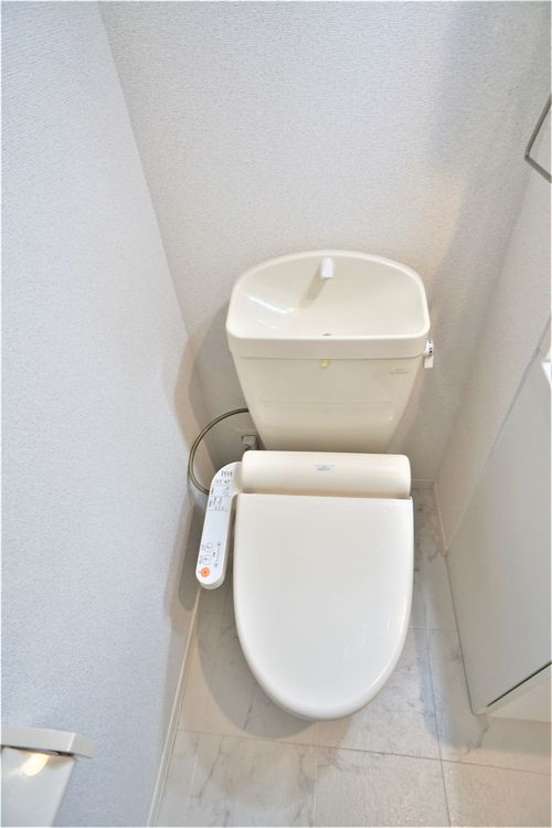 Ｃｏｃｏｎｅｅｌ　Ｈｉｒａｔｓｕｋａ 202号-14